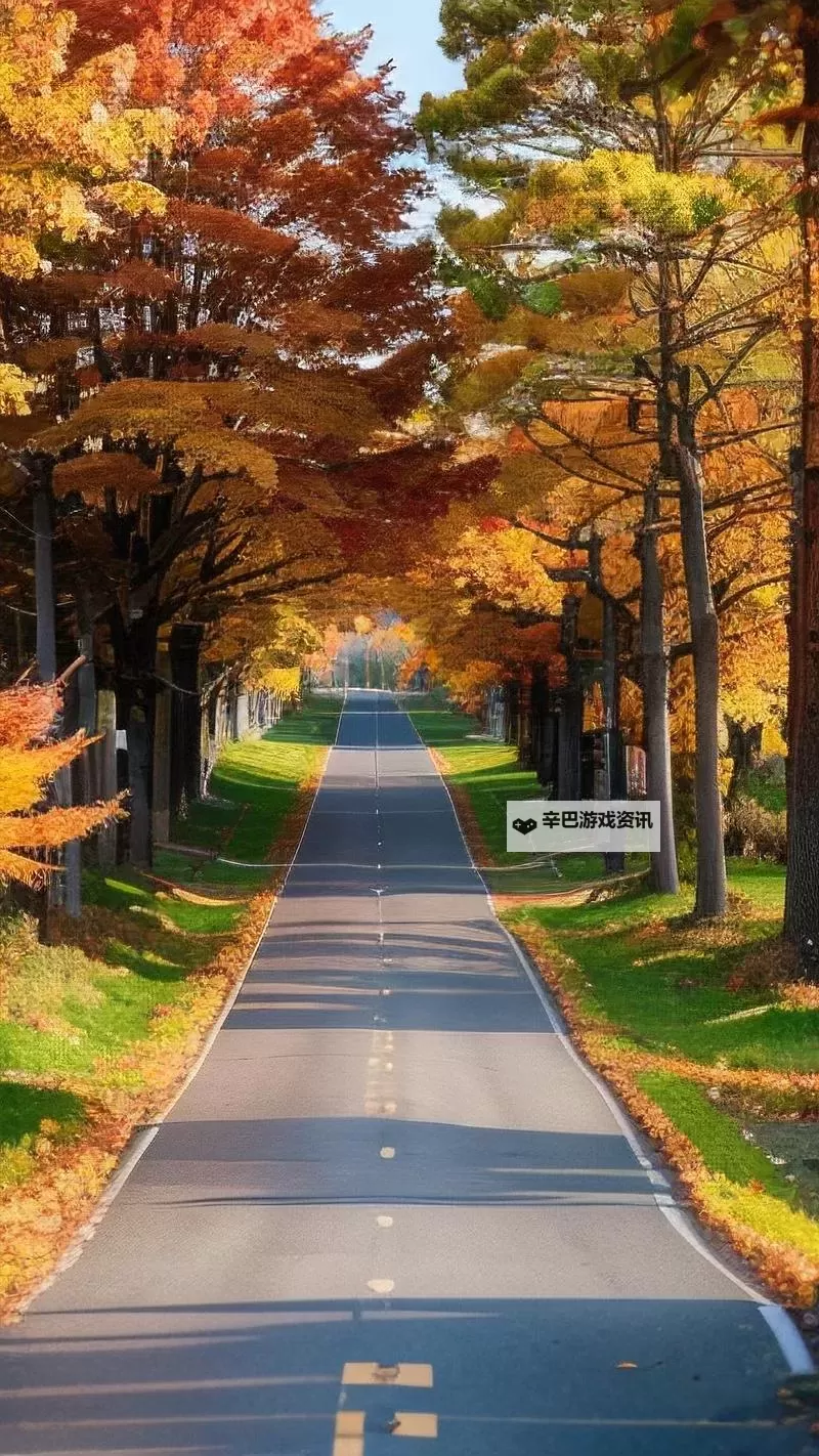 《勇者斗恶龙英雄2》小金币获得方法及兑换道具一览 小金币怎么获得图1