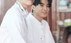 《深度解析：与爱同居评价带来的感悟与思考》