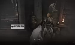 《艾尔登法环黑夜君临》全支线与秘密任务攻略