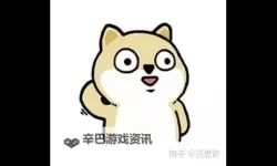 坐在上面摇是一种什么体验知乎：真实感受详解与趣味分析