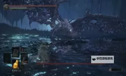 黑暗之魂2 龙壁第三个隐藏篝火的位置