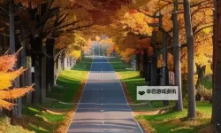 《勇者斗恶龙英雄2》小金币获得方法及兑换道具一览 小金币怎么获得