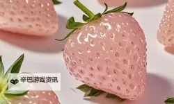 探索甜蜜世界：草莓色在线看的魅力与视觉享受
