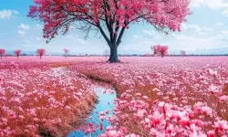 99r免费视频观看：在光影深处寻找真实的自己