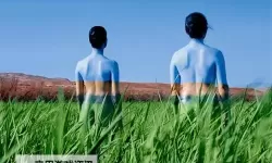 张人体艺术：光影之间的静默叙事