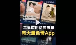 探索最新的成人裸体APP，了解安全与隐私保护措施
