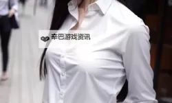 《圣兽之王》前中期队伍角色与装备搭配攻略