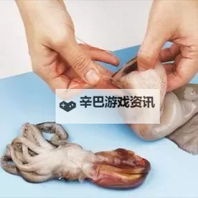 鱿鱼B2577直接进入的优势：开启海洋科技新纪元的关键之路图1