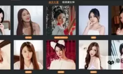 在流量与伦理之间：麻豆传媒第一影院在线播放的行业隐喻