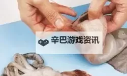 鱿鱼B2577直接进入的优势：开启海洋科技新纪元的关键之路