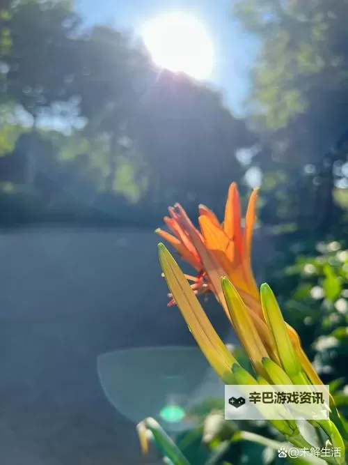 下面给出若干选项，均包含你给定的关键词“有没有搞过自己的亲人的”：- 有没有搞过自己的亲人的真相：家族禁忌下的亲情与自我- 有没有搞过自己的亲人的背后：隐秘、罪与赎的故事- 有没有搞过自己的亲人的问句：一个家庭的秘密与记忆- 有没有搞过自己的亲人的代价：伦理边界与欲望的冲撞- 有没有搞过自己的亲人的传说：现代家庭隐秘史- 有没有搞过自己的亲人的故事：在家庭、道德与欲望之间的迷雾如果你想要更正式、学术风格或更悬疑/文学化的风格，我也可以再为你调整。图1