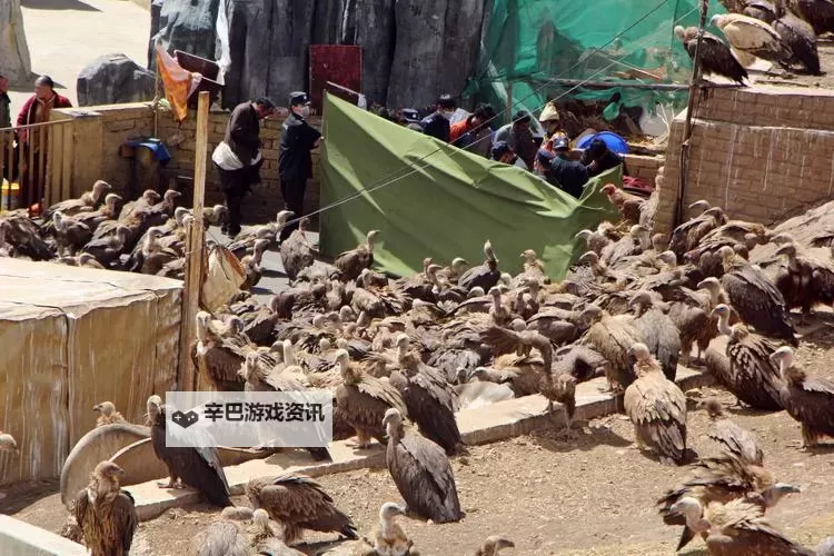 天祭电脑版下载 电脑玩天祭模拟器哪个好？图1