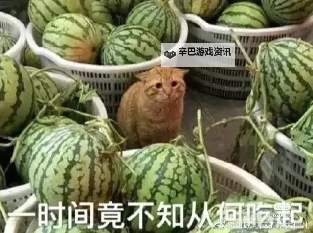 五一成人吃瓜群众：假日热闹背后的人生观察图1