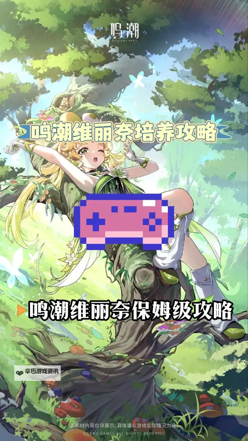 《鸣潮》维里奈养成一图流 维里奈怎么培养图1