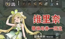 《鸣潮》维里奈养成一图流 维里奈怎么培养