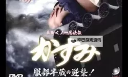 史诗再现：真田女忍法传服部半蔵的逆袭