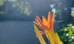 下面给出若干选项，均包含你给定的关键词“有没有搞过自己的亲人的”：- 有没有搞过自己的亲人的真相：家族禁忌下的亲情与自我- 有没有搞过自己的亲人的背后：隐秘、罪与赎的故事- 有没有搞过自己的亲人的问句