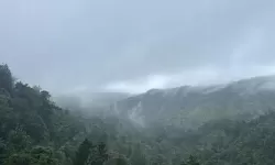 黑暗之魂2 长枪技巧攻略 长枪数据解析