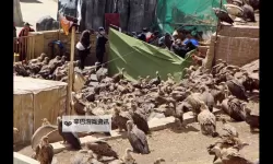 天祭电脑版下载 电脑玩天祭模拟器哪个好？