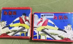 双截龙:彩虹 升级项解析