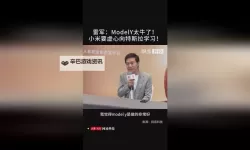 风起影涌：8X8X国产视频的崛起与困局