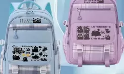 调教书包网：校园记忆中的成长笔记