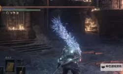 黑暗之魂2 遗忘囚笼三个金骷髅BOSS战平台上的道具拿法