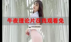 好看的午夜理论：夜色里的公式与情感的交错