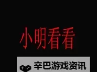 梦境回响：小明明看看2015永久领域平台的时光解码