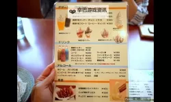 《尘埃4》界面与选项汉化图 菜单中文翻译