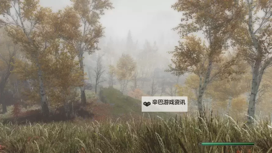 《上古卷轴5》天气+照明ENB帧数优化方法 Vivid weather+Real Lighting ENB ReShade帧数优化图1