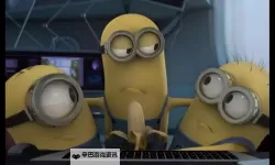 香蕉 电影：银幕上的果香与孤独之旅