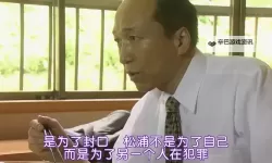 风起影落：亚洲BT免费视频的版权与时代叙事